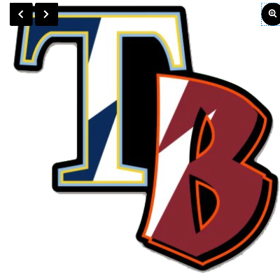 Team Tampa Bay Tb Sticker