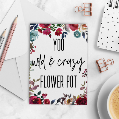 Parks And Recreation - "Leslie Knope Compliments" Greeting Cards