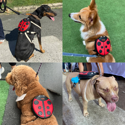 Ruffsack Handmade Dog Backpack With Harness - Lucy