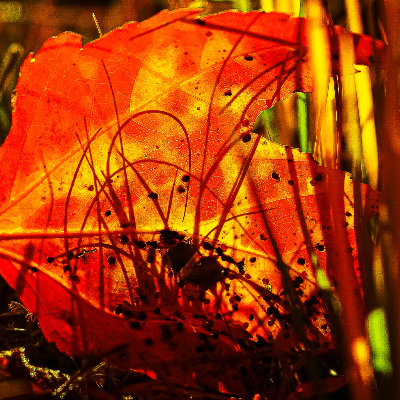 Large Format Fine Art Photography Prints