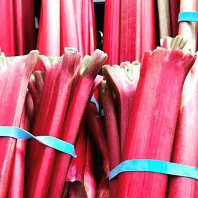 Rhubarb