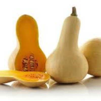 Winter Squash