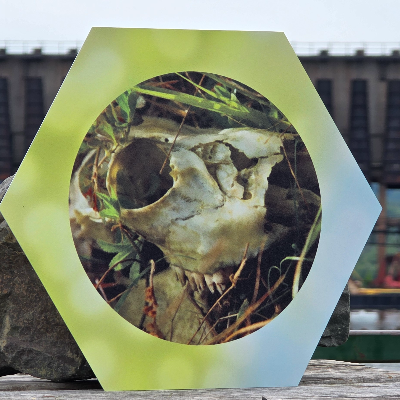 Large Format Fine Art Photography Prints