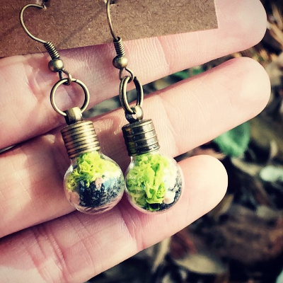 Terrarium Jewelry And Handmade Pottery