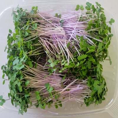 Microgreens