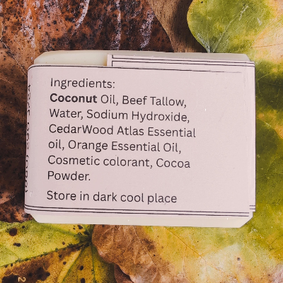 Zesty Woods Soap Bar