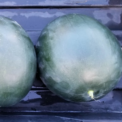 Garden Fresh Vegetables & Fruits