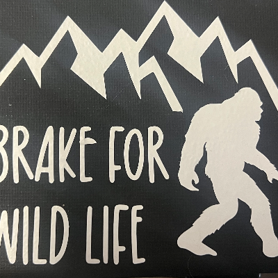 Brake For Wildlife