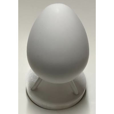Unfinished Cast Plaster Eggs