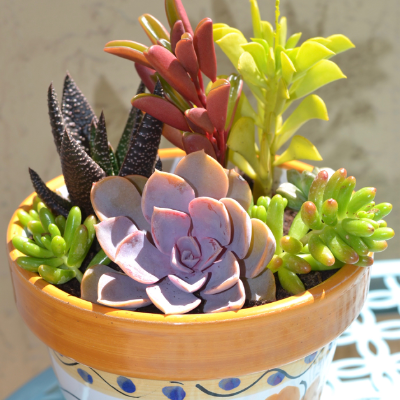 Sample Of Arrangement