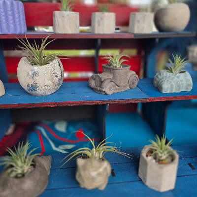 Stone/Cement Planters