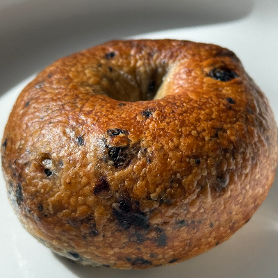Blueberry Bagel