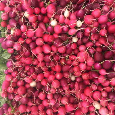 Radishes