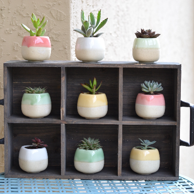 Sample Of Mini Planters
