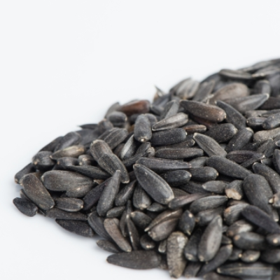 Sunflower, Black Oilseed