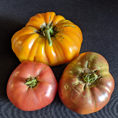 Tomatoes - Heirloom