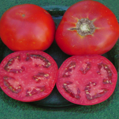 Tomatoes