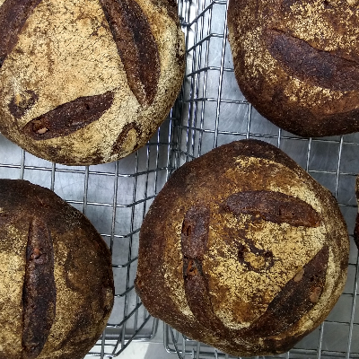 Walnut Sage Bread