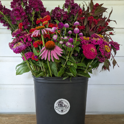 Cut Flower Bouquets & Arrangements