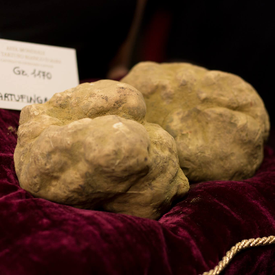 Fresh Truffles