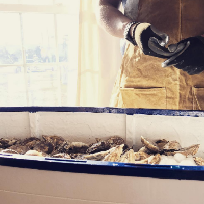 Chincoteague Bay Oysters