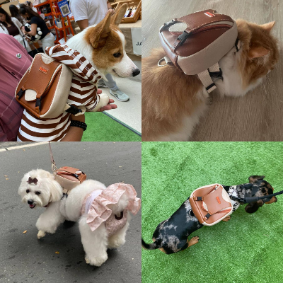 Ruffsack Handmade Dog Backpack With Harness – Reed