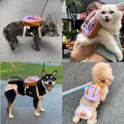 Ruffsack Handmade Dog Backpack With Harness – Dale In Pink