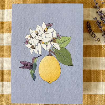 Hummingbird & Lemon Art Print & Sticker
