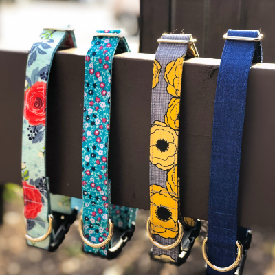 Dog Collars