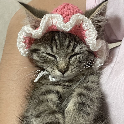 Crochet Cat Hats