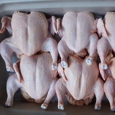 Non Gmo Pasture-Raised Chicken