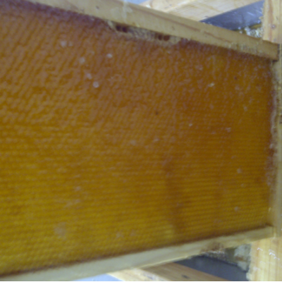 Six Verities Of Honey
