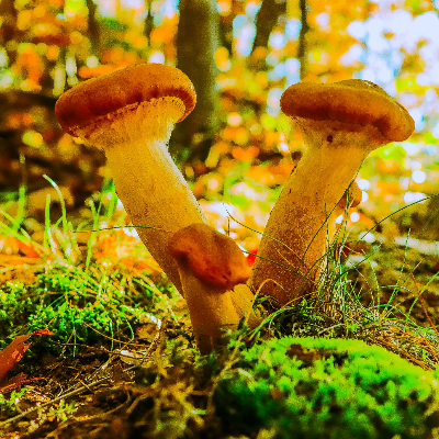 Large Format Fine Art Photography Prints