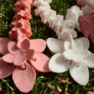 Cherry Blossom Dragon