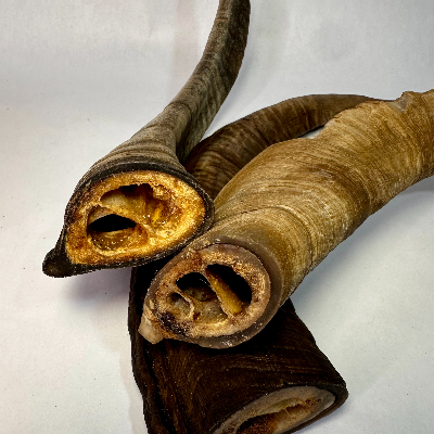 Mongolian Goat Horn